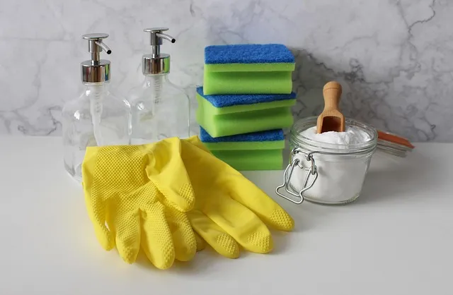 carpet cleaning for move-outs