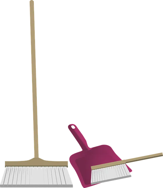 carpet cleaning in my area
