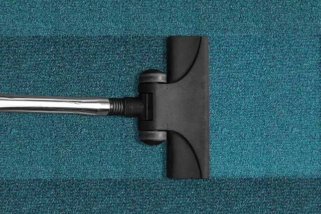 carpet cleaning in my area