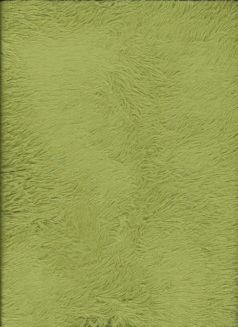 carpet deep clean