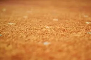 carpet-freshening-640x480-99426330.jpeg
