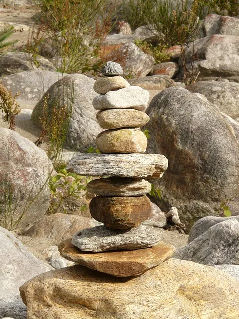 Chinese medicine Round Rock