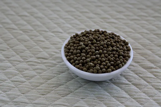 chinese-medicine-round-rock-640x480-81775275.jpeg