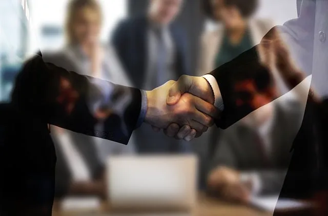 custody negotiation support
