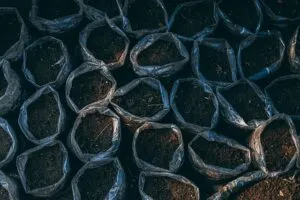 deep-dirt-carpet-service-640x480-53098443.jpeg