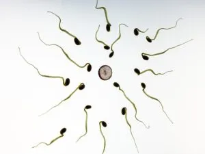 fat-cell-reduction-with-coolsculpting-640x480-32696059.jpeg