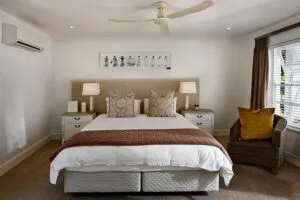 fiber-level-carpet-cleaning-640x480-83351674.jpeg