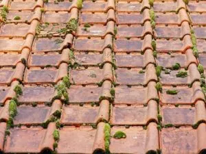 flat-roof-repair-640x480-44463522.jpeg