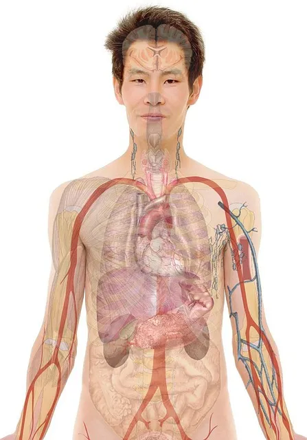 Full-Body Skin Tightening