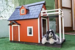 heated-dog-house-640x480-77238527.jpeg