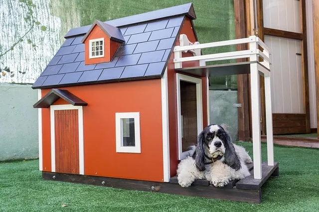 heated-dog-house-640x480-77238527.jpeg