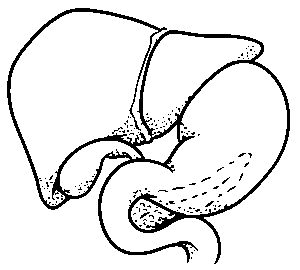 internal-link-structure-for-wordpress-640x480-29950367.png