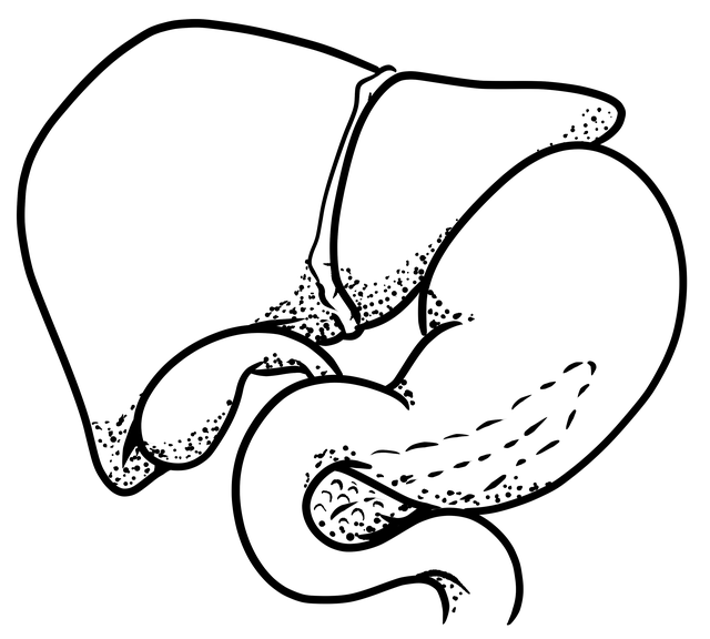 internal-link-structure-for-wordpress-640x480-29950367.png