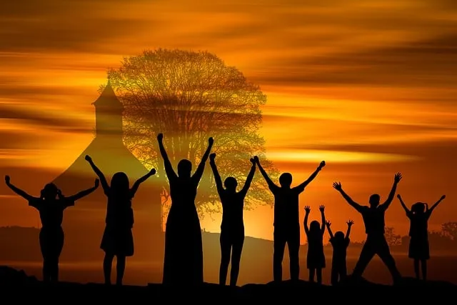 legal custody mediation