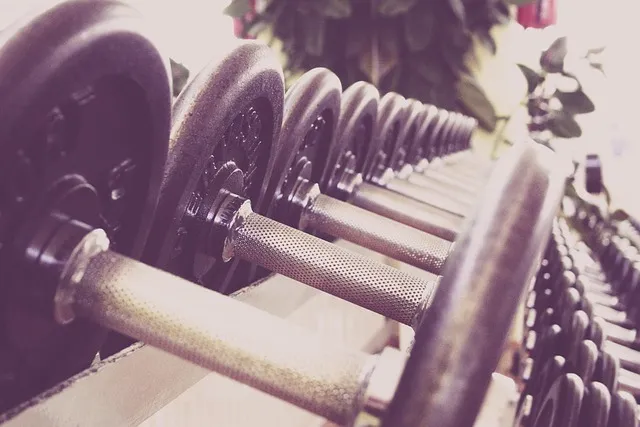 MMA fitness program AZ