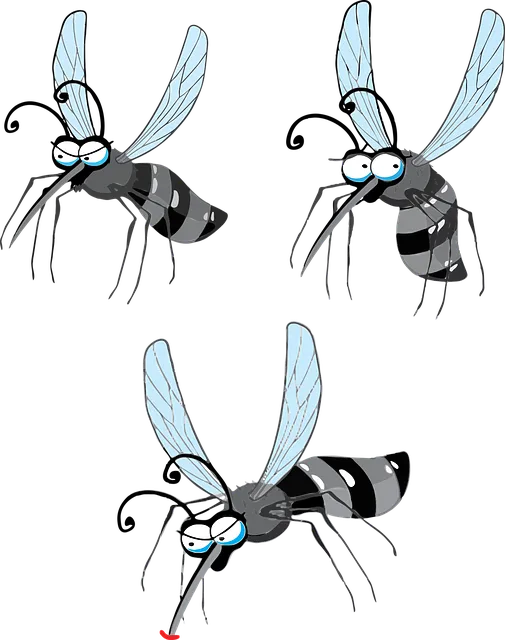Mosquito Control