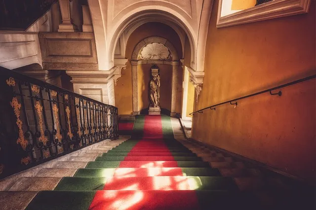 nearby carpet service