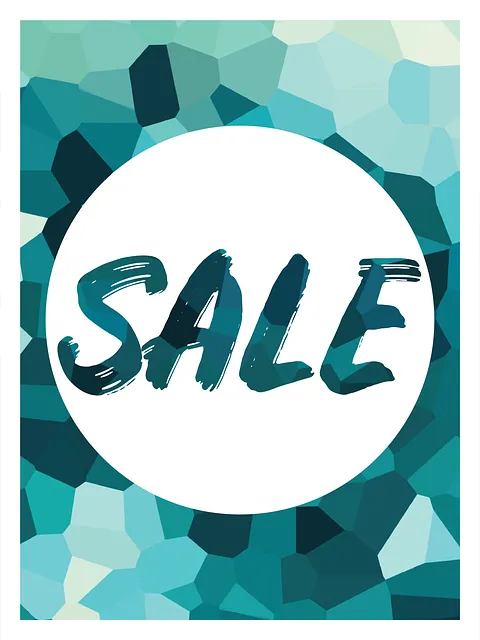 Pricing Schema Tag