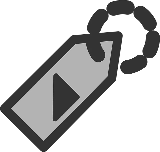 Pricing Schema Tag