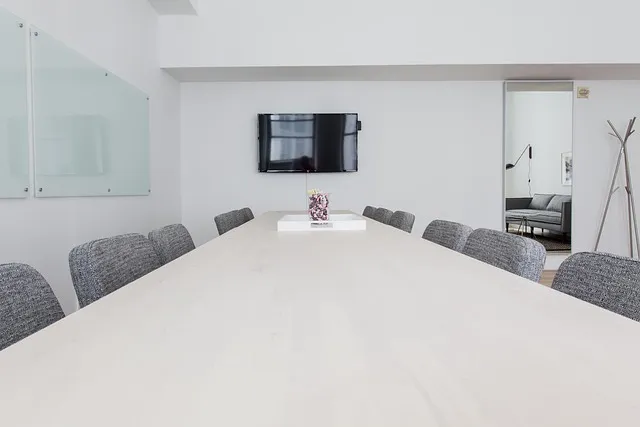 professional carpet stain removal