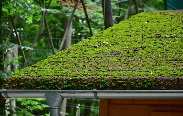 PVC roofing systems company