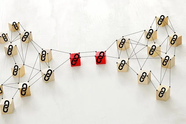 SEO Basics