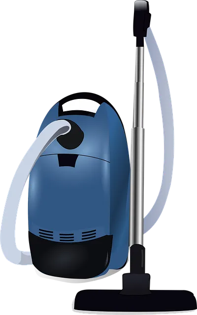 steam carpet cleaners Chandler