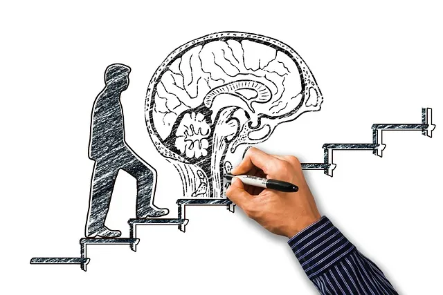 Technical SEO Training