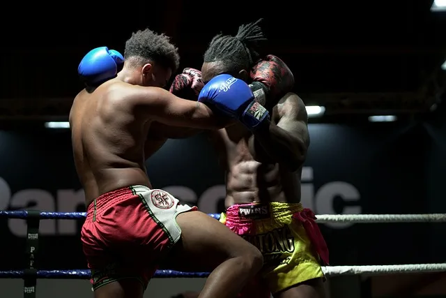 Tempe cage fighting gym