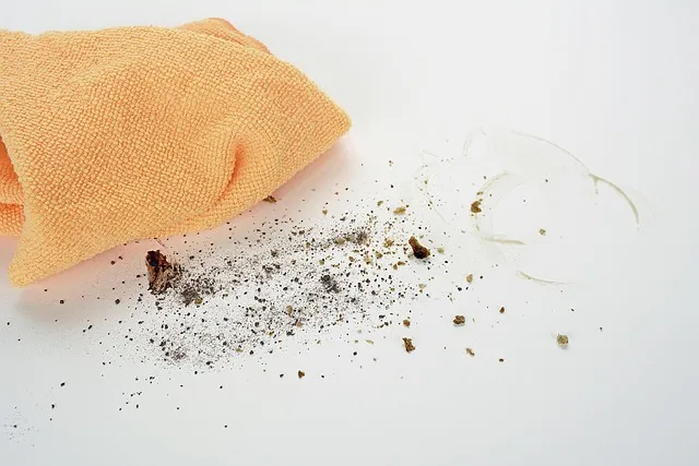 vacancy carpet clean
