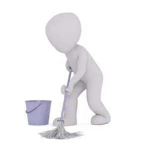 Citrus Bright: Expert Carpet Cleaning for Arizona Move-Outs & Vacancy Preparations