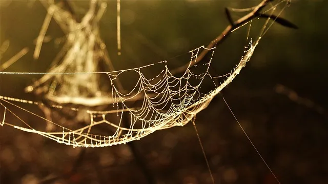 web-mediation-services-640x480-40931298.jpeg