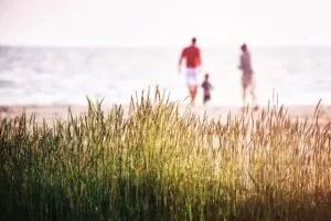 Virtual Spousal Negotiation: Revolutionizing Divorce Mediation Online