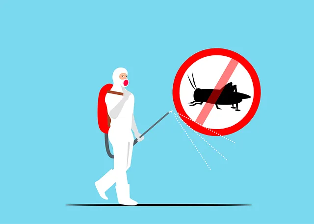 insect control services