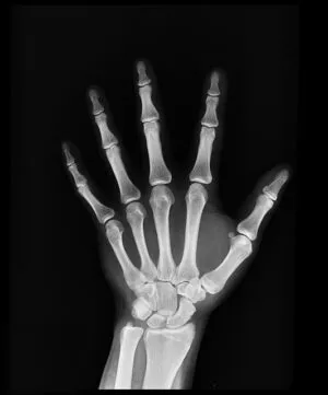 Protect Your Practice: Custom Insurance for Secure Healthcare Operations