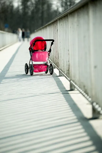 Securing Safe Rides: Low-Cost Insurance for High-Risk Students