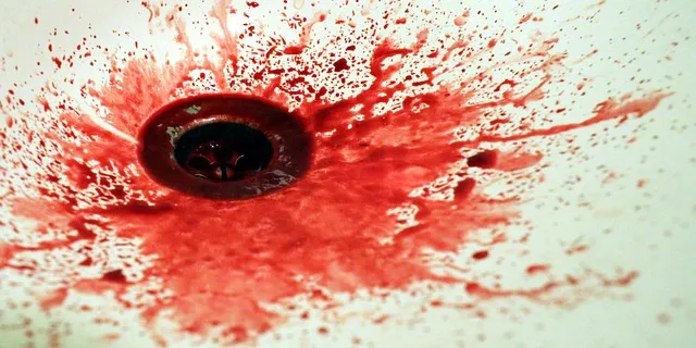 stain extraction service